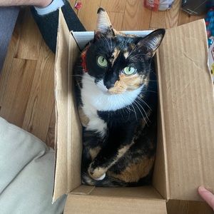 Meet your Posher, Brittany